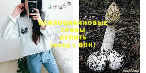 PSILOCYBIN Алексин