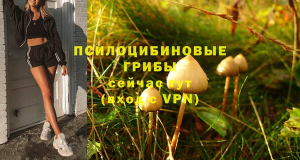 apvp Наволоки