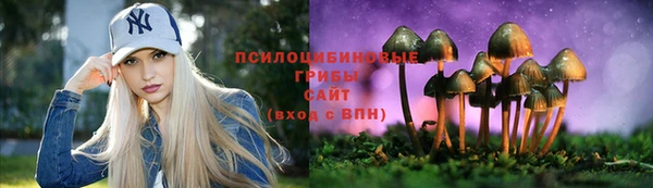 PSILOCYBIN Алексин