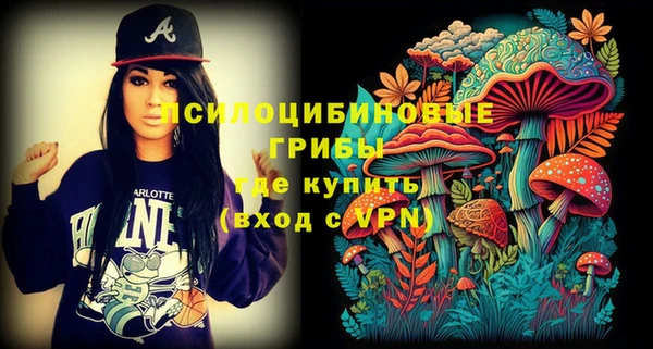 PSILOCYBIN Алексин