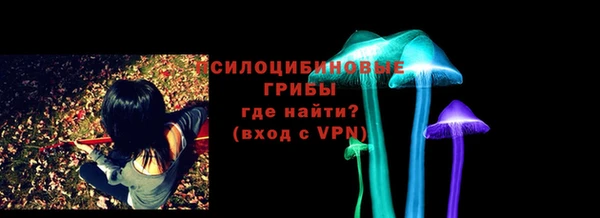 PSILOCYBIN Алексин