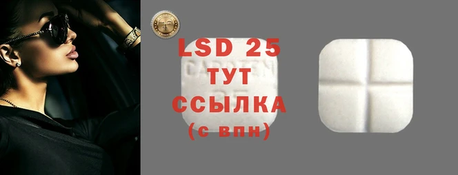 PSILOCYBIN Алексин