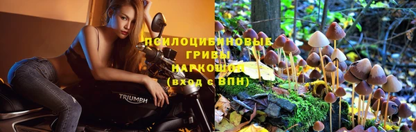 PSILOCYBIN Алексин